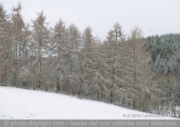 paysage hivernal  / winter landscape